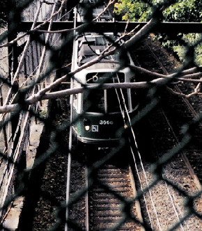 D Train at Davis