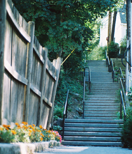 Winthrop Fence